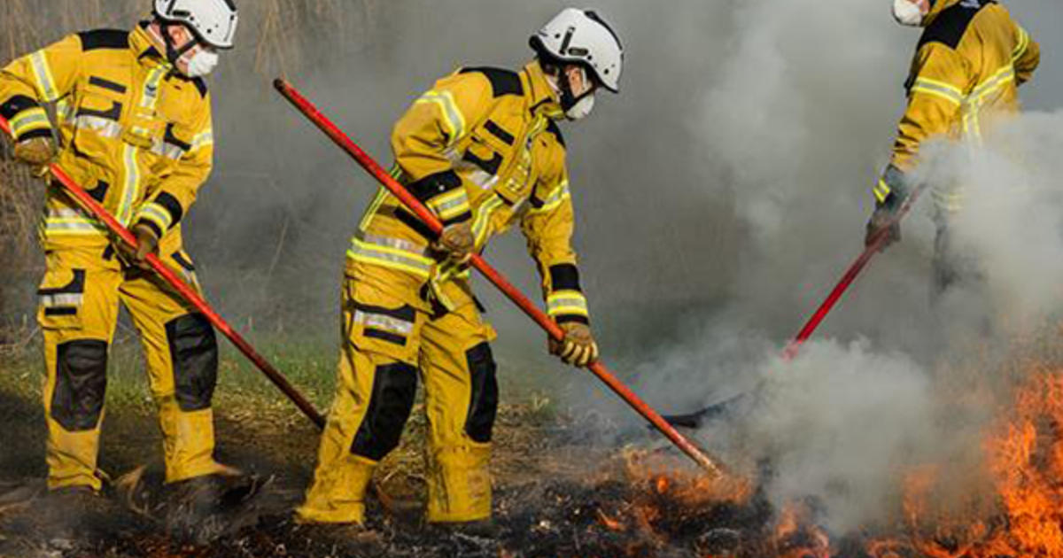Wildland Firefighting